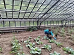 Тульские психиатры используют новые подходы в реабилитации пациентов