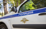 В Киреевском районе задержали троих подозреваемых в серии краж из супермаркетов