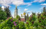 Тулякам рассказали о погоде летом 2026 года