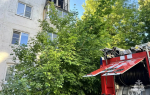 При пожаре в Новомосковске Тульской области погибли два человека