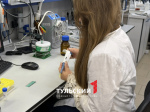 Тульские учёные открыли метод ранней диагностики болезни Альцгеймера