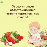 Профилактика инцидентов с участием несовершеннолетних на огородах и приусадебных участках