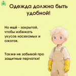 Профилактика инцидентов с участием несовершеннолетних на огородах и приусадебных участках