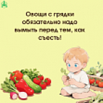 Профилактика инцидентов с участием несовершеннолетних на огородах и приусадебных участках