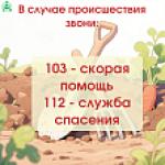 Профилактика инцидентов с участием несовершеннолетних на огородах и приусадебных участках