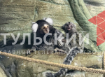 В тульском экзотариуме показали новорожденных игрунок