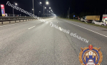 Под Тулой водитель врезался в столб