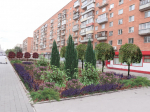 Тулякам показали эскизы ландшафтных композиций из 10 000 растений на улице Советской