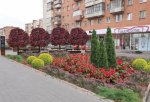 Тулякам показали эскизы ландшафтных композиций из 10 000 растений на улице Советской