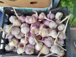 Тулякам рассказали о продуктах, нормализующих давление