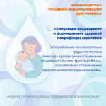 Грудное вскармливание — основа здоровья и полноценного развития ребёнка