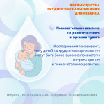 Грудное вскармливание — основа здоровья и полноценного развития ребёнка