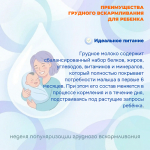 Грудное вскармливание — основа здоровья и полноценного развития ребёнка