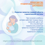 Грудное вскармливание — основа здоровья и полноценного развития ребёнка