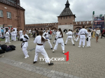 День физкультурника в Туле отметили беговелогонками и самурайским фехтованием