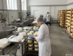 В Тульской области за 339 млн рублей продают животноводческое хозяйство