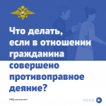 IMG_2312.png