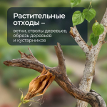 Веткам и ботве не место на контейнерных площадках