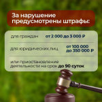 Веткам и ботве не место на контейнерных площадках