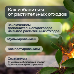 Веткам и ботве не место на контейнерных площадках