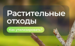 Веткам и ботве не место на контейнерных площадках