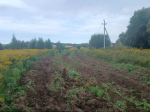 В населенных пунктах Большой Тулы начали осеннюю противопожарную опашку