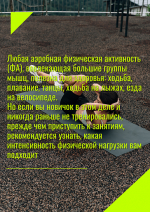 С 24 по 30 августа в регионе пройдет неделя популяризации активных видов спорта.