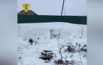 Пожар с 5 погибшими в Плавске: главу администрации оштрафовали за засыпанный снегом гидрант
