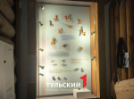В музее «Тульские древности» открылась выставка музыкальных инструментов