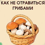 Информация по профилактике отравлений несовершеннолетних грибами в сезон активного сбора