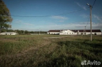 В Тульской области распродают животноводческие фермы