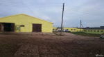 В Тульской области распродают животноводческие фермы