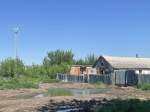 Туляки пожаловались на навалы навоза рядом с домами