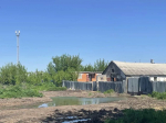 Туляки пожаловались на навалы навоза рядом с домами