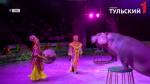 Тулякам покажут выступление дрессированных бегемотов