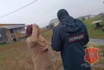 В цыганские поселки в Туле нагрянул рейд. Какие нарушения выявили