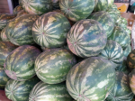 Тульский Роспотребнадзор заблокировал 4 тонны плодоовощной продукции